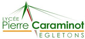 Logo du site Caraminot